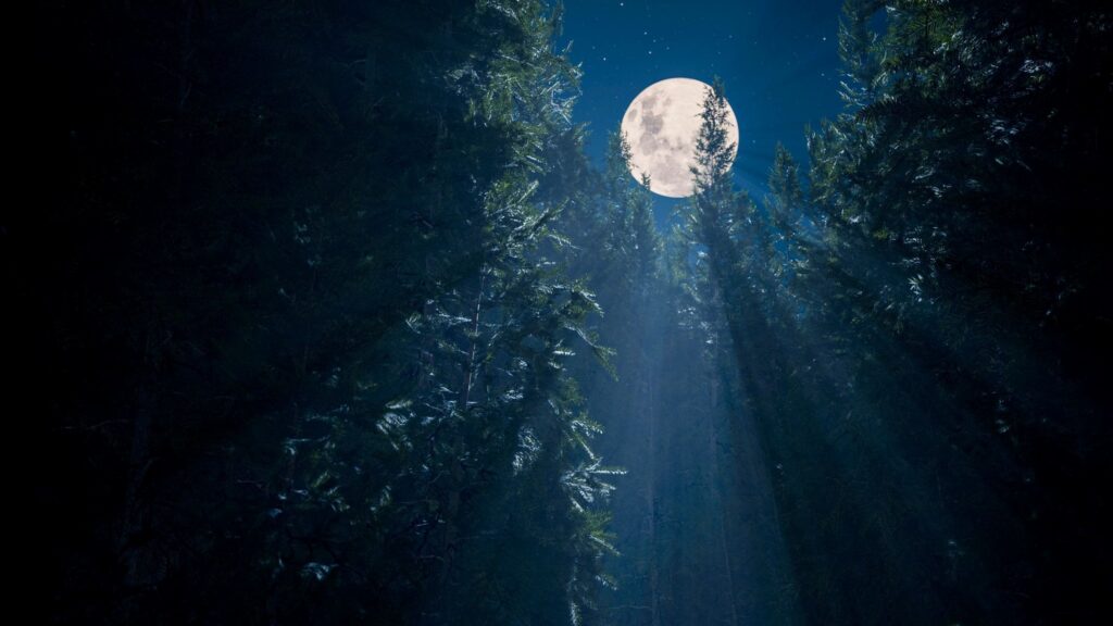 December–The Cold Moon: Rest, Reflection,& the Sacred Stillness