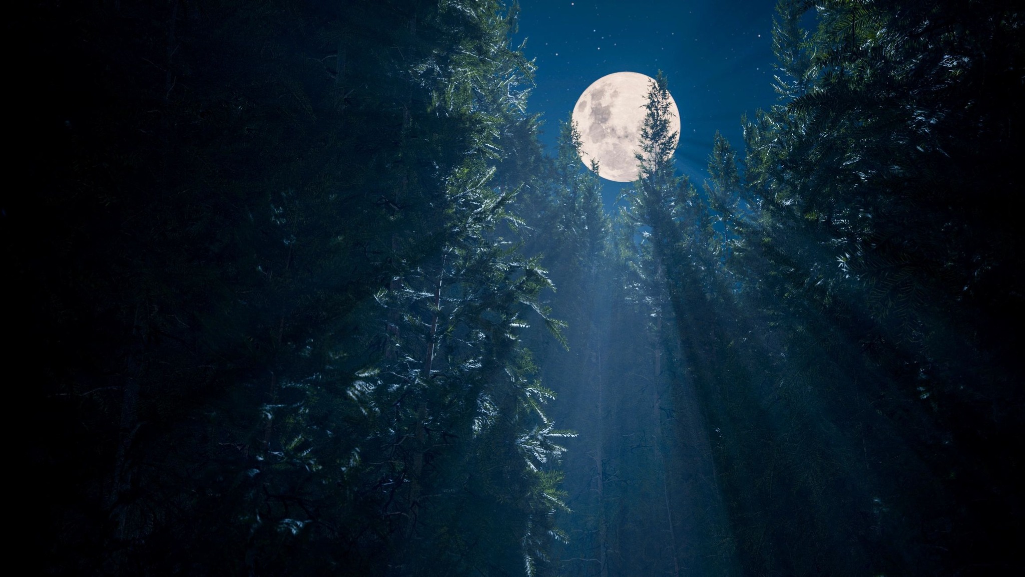 December–The Cold Moon: Rest, Reflection,& the Sacred Stillness